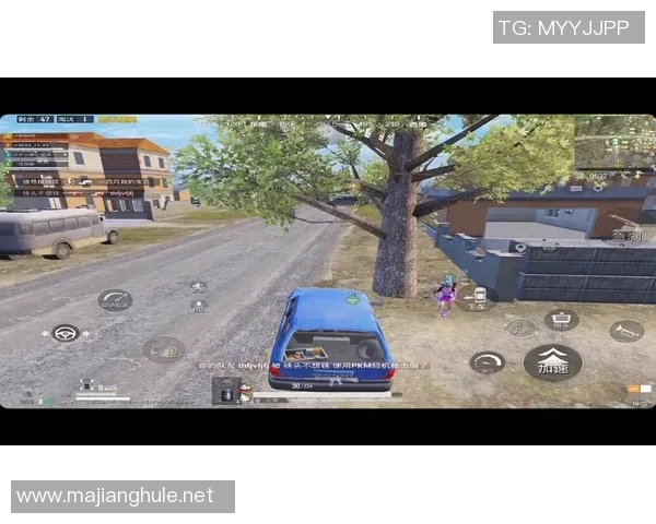 和平精英战术排名V5创新高引发玩家热议新战术层出不穷实时新闻